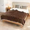 Electric Heated Blanket 84"x90" Queen Size, Dual-Sided Microplush Sherpa for Bedroom Couch Use, 4 Heat Settings & 10 Hours Auto Off Energy Saving, Dual Controller, Machine Washable - Leopard Print