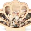 Xylolfsty Seashell Display Box Wooden Seashell Holder with Acrylic Panel Storage Box for Shells Sea Glass Small Starfish Shark Tooth Seashell Collection Box Home Decor Christmas Gift Birthday Present