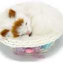 Sleeping Cat in Basket Doll Toy, Kitten in Basket with Meows Sounds Decor for Office Desk Hand Toy Gift for Kids Boys Girls