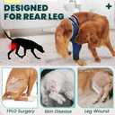 Dog Rear Leg Sleeve to Stop Licking, Hind Leg Protector for TPLO Recovery, ACL Surgery, Wounds or Skin Issues, Soft Breathable Cover for Large Dogs (L-Left)
