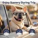 Dog Goggles with Replaceable Lens Eye Protection Dog Sunglasses for Small to Medium Breed for Outdoor Riding/Driving/Walking/Surgery Recovery