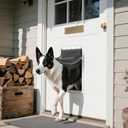 3-Flap Large Dog Door Replacement Insulated Flap with Clamp, Back Plate and Screws, Compatible with Large PetSafe Extreme Weather Aluminum Pet Door, PAC11-11039 10 1/8" X 16 7/8" (Smoky Translucent)