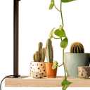 PlantSpectrum16 Grow Light, Full Spectrum LED Plant Growing Lamp 16Watt for Indoor Plants