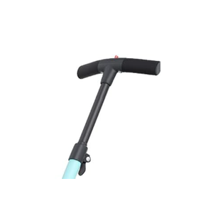 Newyoo Passenger Grab Bar Assembly