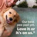 Earth Rated Max Absorbency Puppy Pee Pads for Dogs Absorbs 2X Faster & 2X More, Leak-Proof, Odor Control Potty Training, Unscented, Large, 22 x 23, 40 Count