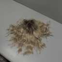Short Ombre Ash Blonde Wavy Wigs for Women 14 Inch Shoulder Length Curly Wavy Bob Wig Synthetic Natural Hair Wig for Daily Party Use (Ash Blonde, 14 inch)