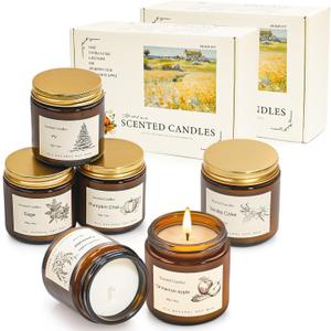 Scented Candles Gift Set for Home, 12 Pack Aromatherapy Soy Candles, 6 Fragrance Scents with 2 Gift Boxes, Long Lasting Small Candles for Relaxation, Bathroom Bedroom Office Gifts for Women (2026 Special Model)