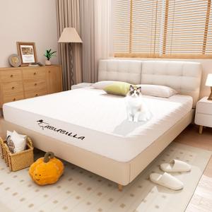 8 Inch Queen Size Mattress,Memory Foam Mattress for Guest Rooms to Improve Back Pain,Comfortable and Receive Restful Sleep,CertiPUR Certification 2024 New Version