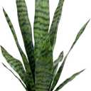 Artificial Snake Plant 22.5" Faux Agave Fake Sansevieria Artificial Potted Plants for Indoor and Outdoor Home Office Dcor (White Pot)