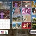 Natures Rocks Calendar 2026 Monthly Wall Calender 12 Month | American Made In The USA