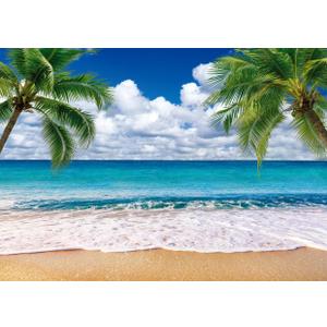 Summer sea Backdrop Tropical Beach Plants Photo Backdrop Hawaiian Ocean Blue Sky Background for Theme Party Supplies Studio Props 12692(7x5FT)