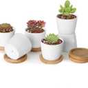 T4U 2.5 Inch Mini White Succulent Planter Pots with Bamboo Tray Round Set of 24, Tiny Ceramic Succulent Air Plant Flower Pots Cactus Faux Plants Containers, Gifts for Plant Lover, Home and Office Decor