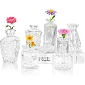 6Pcs Glass Bud Vase Set,Small Flower Vase for Tables Centerpieces Decor, Mini Vintage Clear Vase for Home,Wedding,Party Decorations6 PcsClear