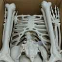 Halloween Skeleton Decorations,5.4FT Posable Human Skeleton Decorations for Halloween Party Decor, Haunted House Props Indoor Outdoor Decoration