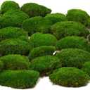 Preserved Pole Moss Pillow Bun Cushion Natural Green Decorative Real Natural DIY Kit Gardenning Art Wall Decor Florist Easter Table Decor Wedding(1.5 sq.ft, Green-C)