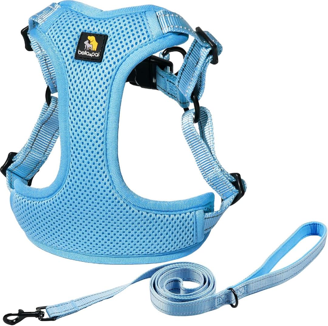 BELLA & PAL Adjustable Step-in Dog Harness, Puppy No-Pull Vest with Leash Set for Dog, Breathable All-Weather Mesh, Reflective Strip, Secure Hook & Loop (M (chest: 18-21"), Blue)