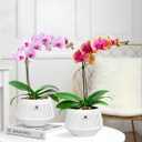 5 inch Orchid Pots with Holes for Repotting,Set of 2,Decorative African Violet Pots with Air-Pruning and Good Air Circulation,Plastic White Orchid Planter with Saucers