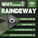 RAINDEWAY Tarps 30x50 Feet,Large Tarp Waterproof,9Mil Thick Finished Size, Multipurpose Poly Tarp Cover with Metal Grommets and Reinforced Edges,Green/Black Tarpaulin