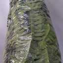 FOREST PRINCE 42" Artificial Boston Ferns, Bush Plants 2 Pack for Outdoors