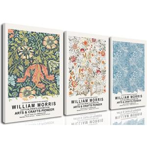 William Morris Wall Art Set of 3 Vintage Botanical Wall Decor Nature Flower Exhibition Posters Retro Plant Canvas Prints Paintings for Living Room Bedroom Kitchen Home Decor 12x16 Inch Framed (Light)