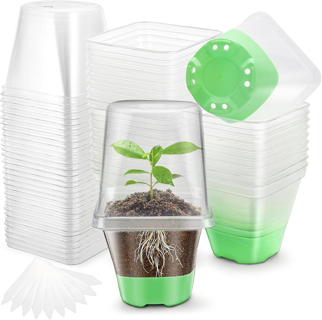 Sckee Clear Nursery Pots for Plants, 30 Packs Plastic Seed Starting Pots with Drainage Holes Plant Nursery Pots Silicone Base (Light Green, 3.1 inch with lids)