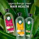 Herbal Essences Honey Daily Moisture Conditioner, Protects and Nourishes Dry Hair, Hydrating Conditioner with Certified Camellia Oil and Aloe Vera, Moisturizing and Safe For All Hair Types, 33.8oz