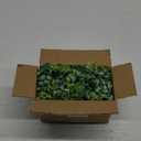 Dolicer 2 Pack Faux Eucalyptus Garland, 12Ft Artificial Vines Fake Hanging Eucalyptus Leaves Greenery Garland for Wedding Backdrop Arch Wall Table Party Indoor Outdoor Decor (Grey Green)