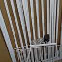 68" Extra Tall Cat Gate, Fits 30.5"-47.5" Wide Opening with 2.75" and 5.5" and 8.25" Extension Kits, Extra Narrow Gap, No Drilling Pressure Mount Auto Close Safety Gate, White