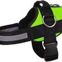 Joyride Basic Essential Dog Harness 1.0 - Small, Medium, Large Dogs, No-Pull Pet Vest with 3 Side Rings for Leash Placement, Adjustable for Training (Green Glow, XS)