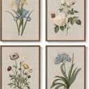 Framed Vintage Botanical Wall Art, 4 Piece Rustic Floral Painting Canvas Prints for Living Room Bedroom Dining Room Kitchen Hallway, Flower Butterfly Pictures for Farmhouse Wall Decor, 12x16 Inch