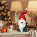 LIFFY Gnomes Decorations for Home- 10" Large Hand-Painted Light up Gnome Lamp Indoor Decor for Desk, Shelf, Windowsill, Bedroom, Unique Holiday Gnome, Gift for Valentine's Day & Mother's Day(Red)