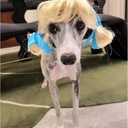 2 x Funny Dog Cat Cosplay Wig, Pet Wigs for Halloween, Christmas, Parties, Festivals, Dog Wigs for Small Medium and Large Dogs(Golden Braid)