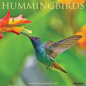 Willow Creek Press, Hummingbirds 2026 Wall Calendar, 12'' X 12'', 18-Month Calendar with Stapled Binding