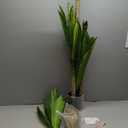 Artificial Plants, 5 Ft Dracaena Tree Faux Plants Indoor Outdoor Decor Fake Tree with Woven Seagrass Basket Plants for Home Decor Office Living Room Porch Patio Housewarming