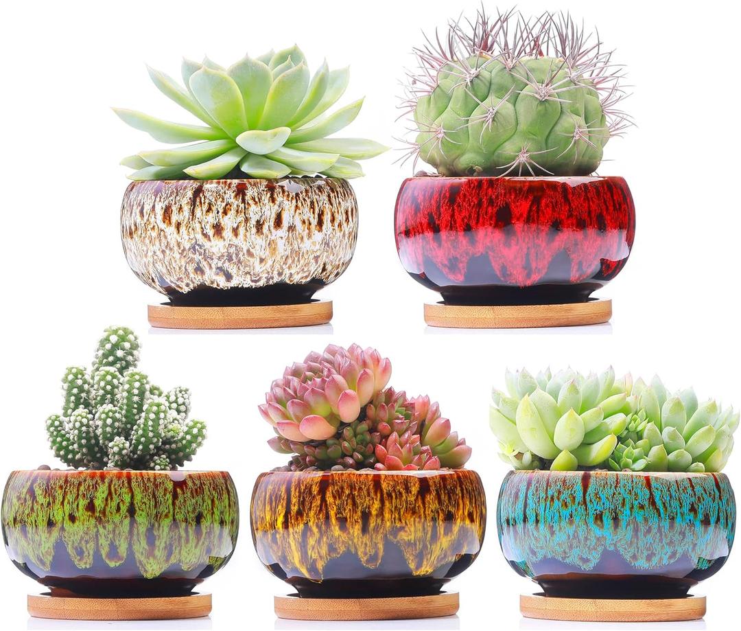 Cute Ceramic Succulent Garden Pots, Planter with Drainage and Attached Saucer, Set of 4 -Plants Not Included (Round)