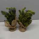 Islmlisa Mini Christmas Tree,12.6 Inch Tabletop Holiday Tree with PE Branches for Xmas Holiday Party Home Tabletop, Party Centerpiece Non-Lit 2pack