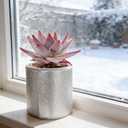 5 Pack Plant Flower Pot Insulation Protection Pot Reusable Flower Pot Cover Double Foil Insulation for Winter Indoor Outdoor Plants Pot Cover Garden Fruit Trees Potted Plants Insulation