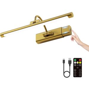 16" Light for Wall Picture with 6000mAh Battery - Brass Operated Wireless Wall Art Light with Remote Control for Artwork,