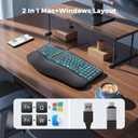 MEETION Ergonomic Keyboard Wired, 7 Colors Transparent Backlit, 4 Brightness, 1 RGB Breathing Backlit, Comfortable Wrist Rest Cushion, USB-A/USB-C Adapter Ergo Keyboard for Windows Mac Computer Laptop