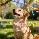 Easter Day Dog Collar, UP URARA PUP Easter Eggs Adjustable Pet Collar with Bowknot Charm, Colorful Eggs Dog Collars for Small Medium Large Dogs