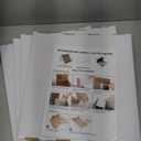 Collector Card Storage Box 3120 Count Trading Cards Box White Sports Card Boxes Card Sorting Tray Card Sleeve Cases Card Collection Trading Card Storage Box for Soccer Basketball Cards (4 Set) (4 Pack)