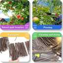 Apple Sticks,Premium Wooden Chew Stick Toys,250g Natural Apple Sticks for Guinea Pigs,Rabbits,Hamsters,Gerbils,Chinchillas and Small Rodents