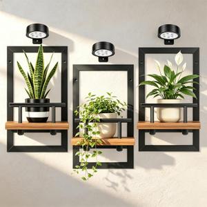 Wall Plant Holder with Light, 3 Pack Floating Shelves for Wall