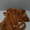 Morph Deluxe Lion Costume Kids Lion Mane Costume Halloween Costumes For Boys, Girls and Toddlers (4-6 Years)