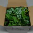 Der Rose 4Pcs Small Fake Plants Artificial Mini Faux Plants for Bathroom Office Desk Shelf Table Accessories Decor Indoor