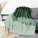 PAVILIA Fluffy Sherpa Throw Blanket Ombre | Gradient Plush, Soft, Fuzzy, Decorative Accent Throw Blanket for Couch Sofa Twin Bed | Cozy Warm Decorative Furry Faux Fur Blanket, 60x80 Inches Green