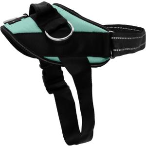 ShawnCo Essential Dog Harness, No-Pull Pet Vest with 3 Leash Clips, No Choke, Reflective, Adjustable and Padded, for Easy Walking and Training for Small, Medium and Large Dogs (Seafoam, M)