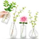 Glass Bud Vases Set of 4,Small Vase for Flowers,Clear Vintage Embossed Mini Vases,Flower Arrangements in Vases for Party or Home Decor (A)