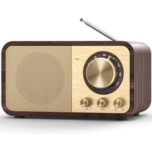 Tendak FM Radio with Best Reception, Portable Transistor Radio with 5W Speaker, Rechargeable Vintage Radios for Home Outdoor, Support TF Card Play, USB MP3 Player, AUX, Bass Mode