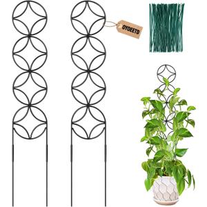 24Inch Outdoor Plant Trellis for Climbing Plants,Metal Garden Trellis for Potted Plants,Plant Stakes for Indoor Plants Accessories Hoya,Flower,Plant Support,Plant Gifts (24IN-Coin)